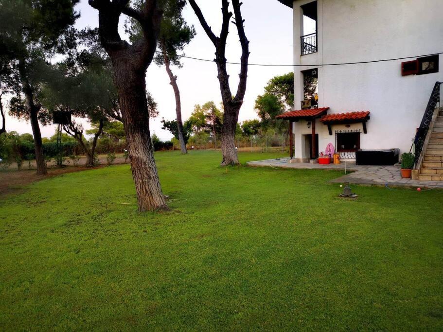 Golden Summer Apartment Néa Fókaia 外观 照片