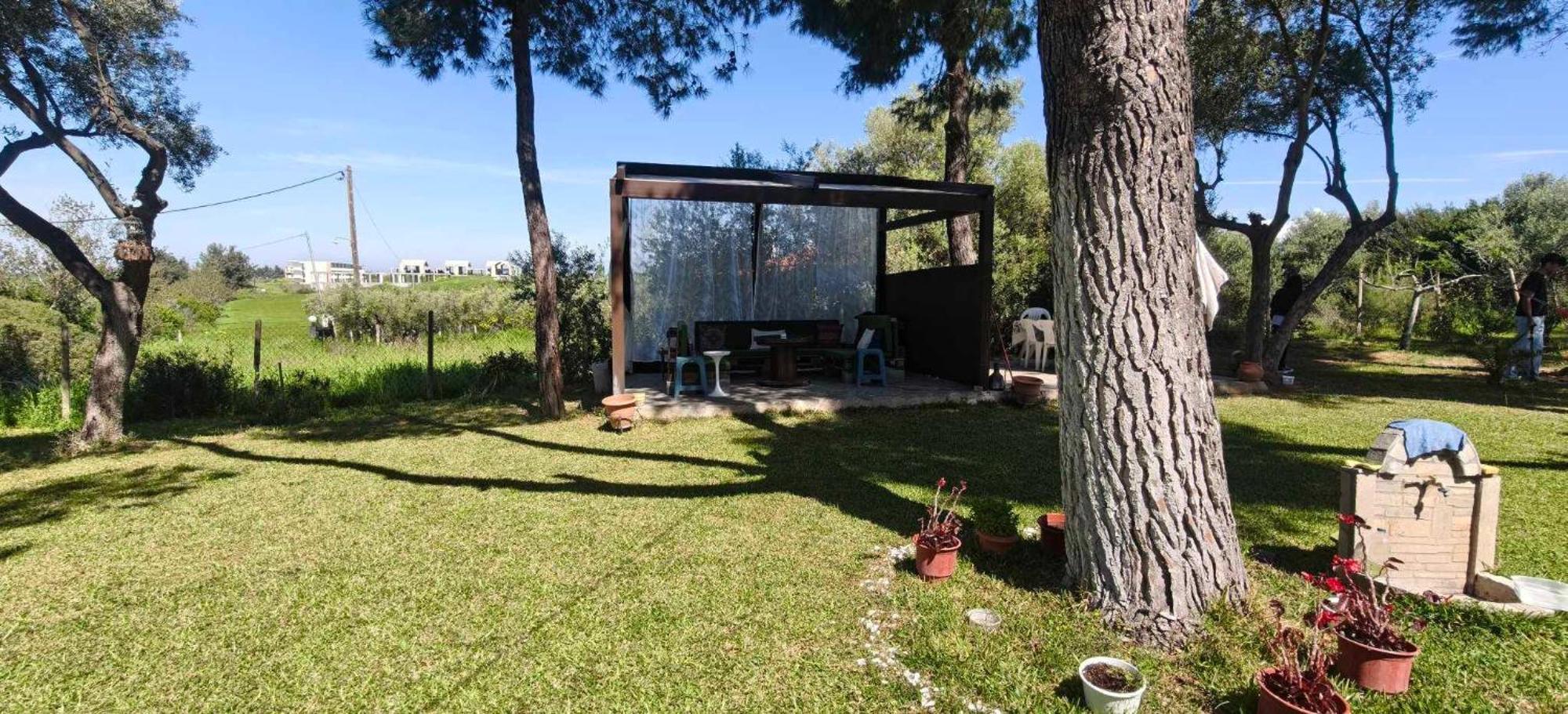 Golden Summer Apartment Néa Fókaia 外观 照片
